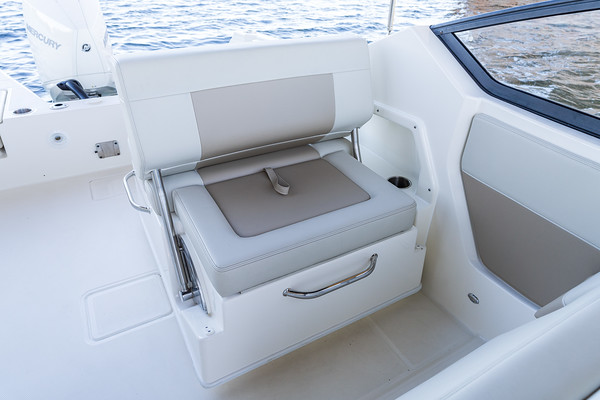 Boston Whaler 210 Vantage фото 1.7