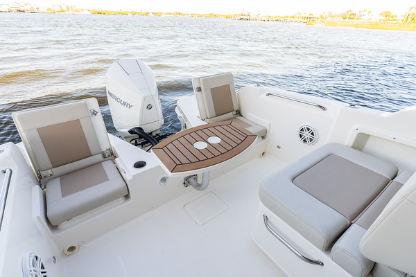 Boston Whaler 210 Vantage фото 1.9