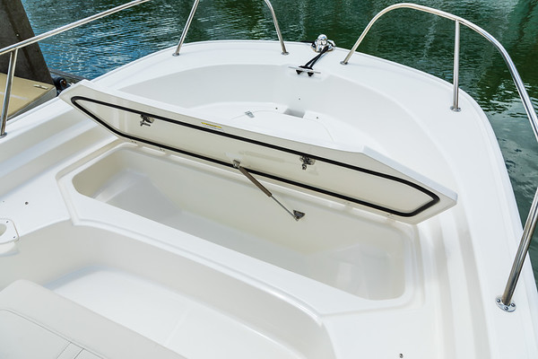 Boston Whaler 190 Montauk фото 1.5