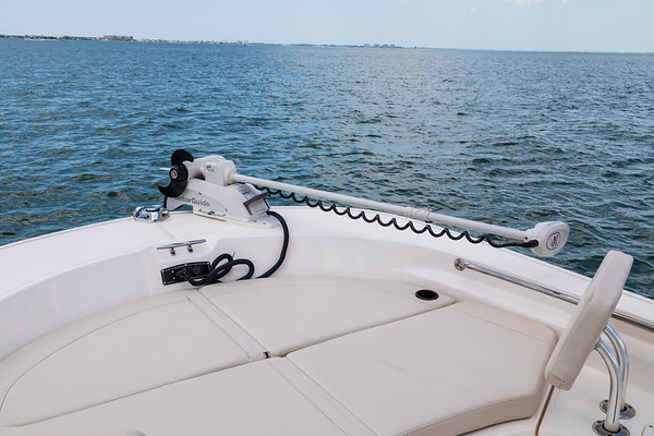 Boston Whaler 210 Montauk фото 1.6