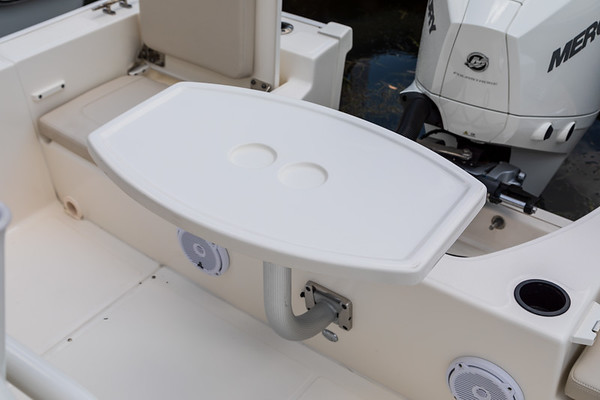 Boston Whaler 210 Montauk фото 1.2