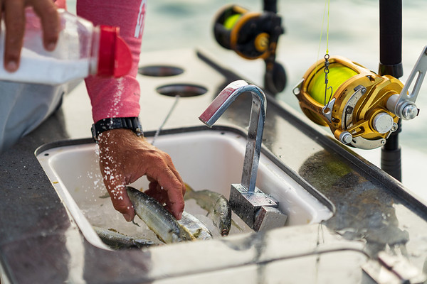 Boston Whaler 405 Conquest фото 1.4