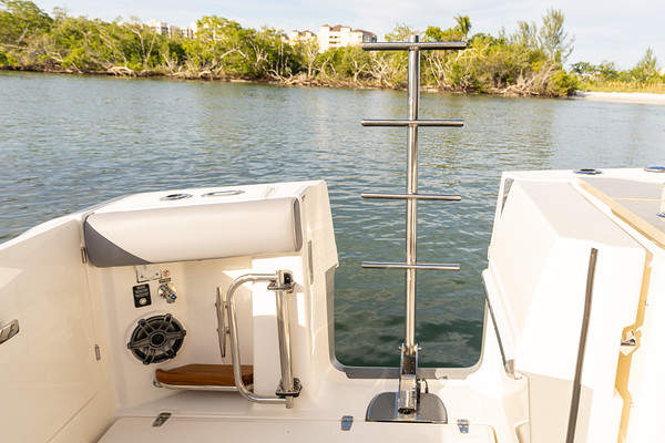 Boston Whaler 380 Realm фото 1.1