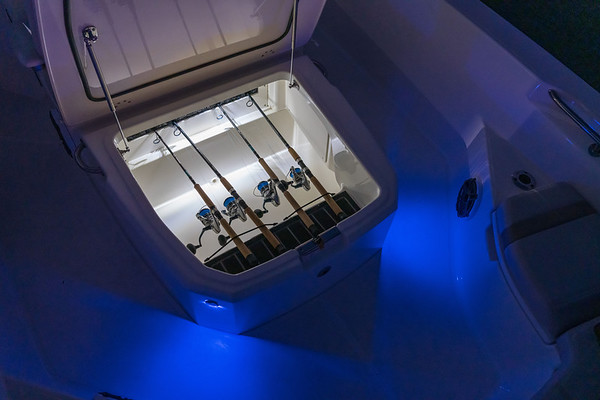 Boston Whaler 250 Dauntless фото 1.5