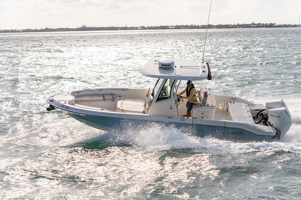 Boston Whaler 280 Dauntless фото 1.13