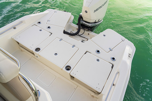 Boston Whaler 250 Dauntless фото 1.6