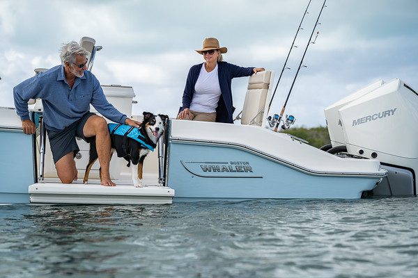 Boston Whaler 280 Dauntless фото 1.2