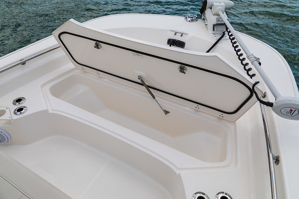 Boston Whaler 210 Montauk фото 1.7
