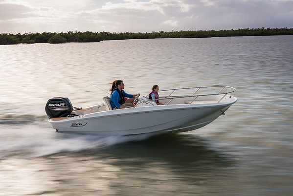 Boston Whaler 160 Super Sport фото 1.5