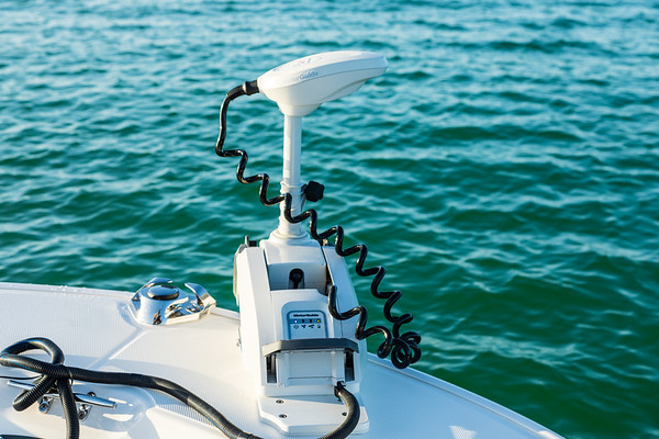 Boston Whaler 210 Montauk фото 1.8