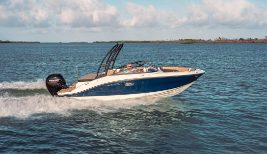 Sea Ray 190 SPX OB (Outboard)