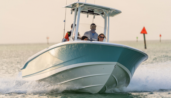 Boston Whaler 250 Dauntless