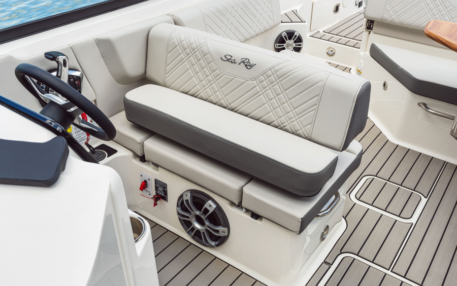 Sea Ray  SDX 250 фото 1.5