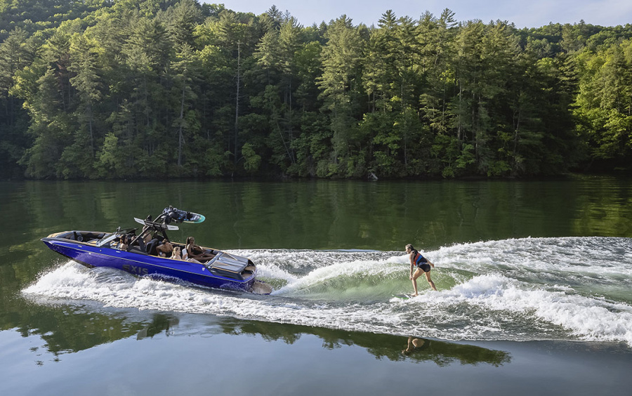 AXIS A245 фото 3.10