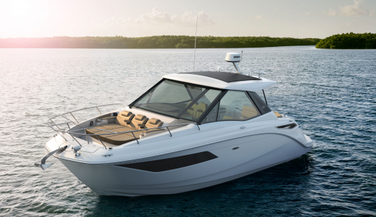 Sea Ray Sundancer 320 Coupe/546