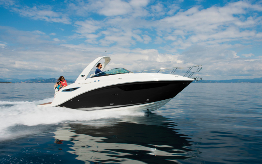 Sea Ray Sundancer 265/487 фото 1.9