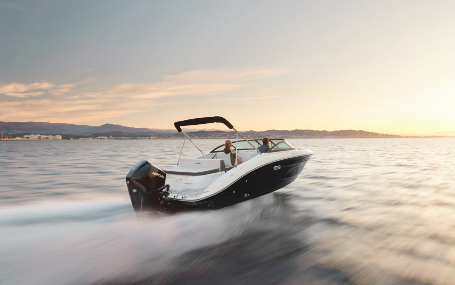 Sea Ray  SPX 210 OB/871 (Outboard) фото 1.9