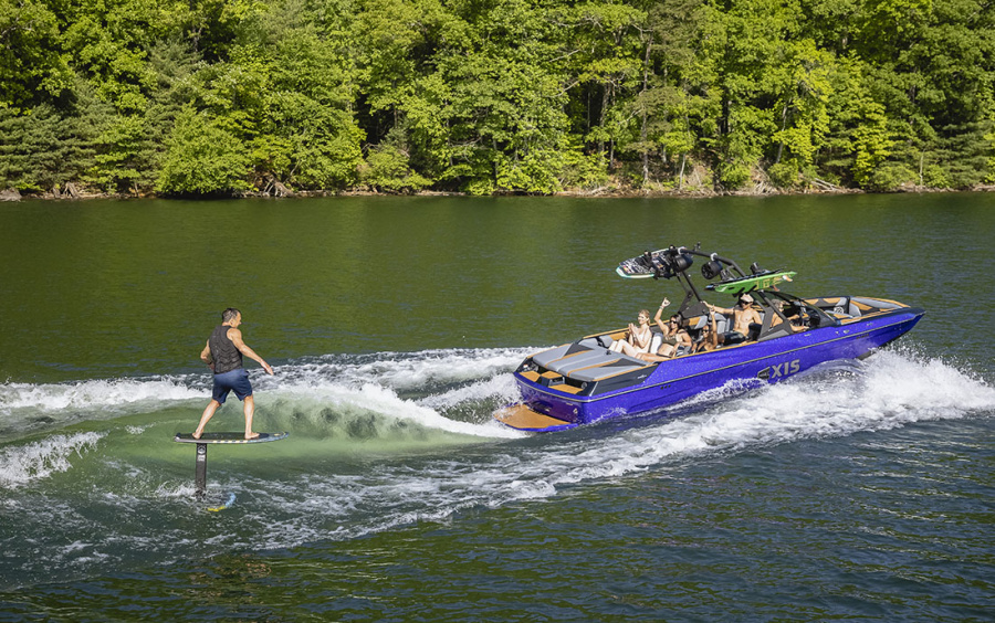 AXIS A245 фото 3.9