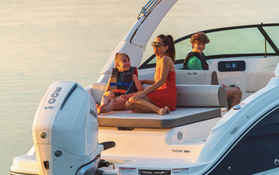 Sea Ray  SDX 250 OB фото 1.3