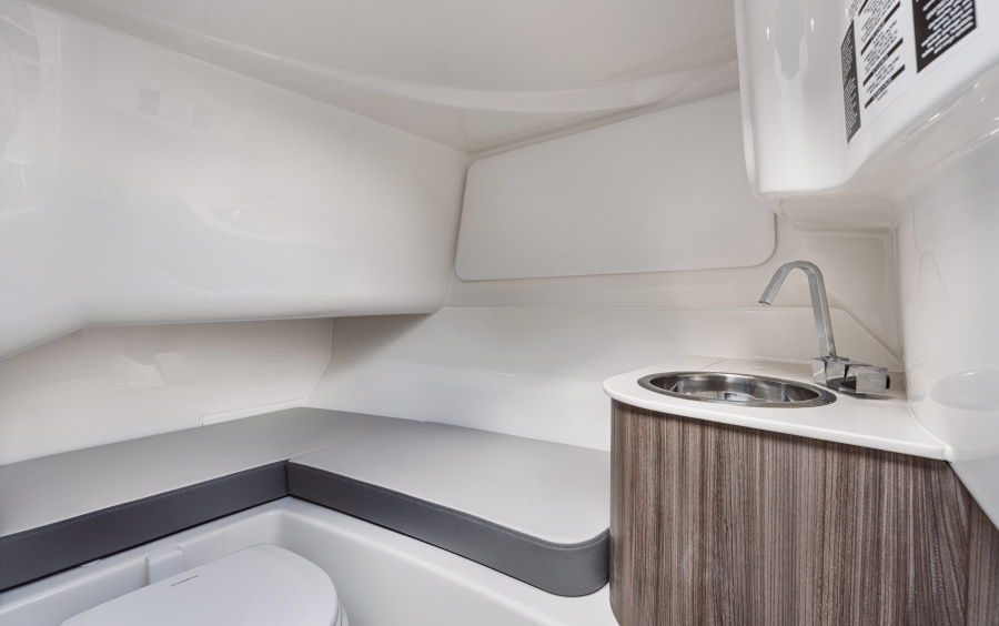 Sea Ray  SDX 250 OB фото 1.6