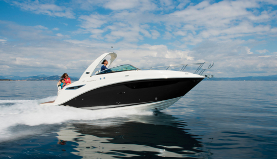 Sea Ray Sundancer 265/487