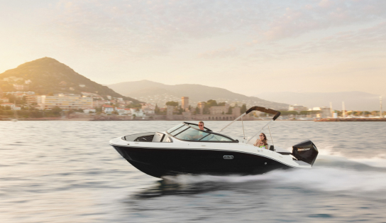 Sea Ray SPX 210 OB/871 (Outboard)